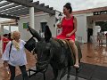 20180914 - Fr (22)